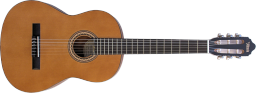 Klassische Gitarre Valencia VC204