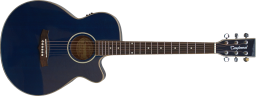 Westerngitarre Tanglewood Evolution TFYBL-B